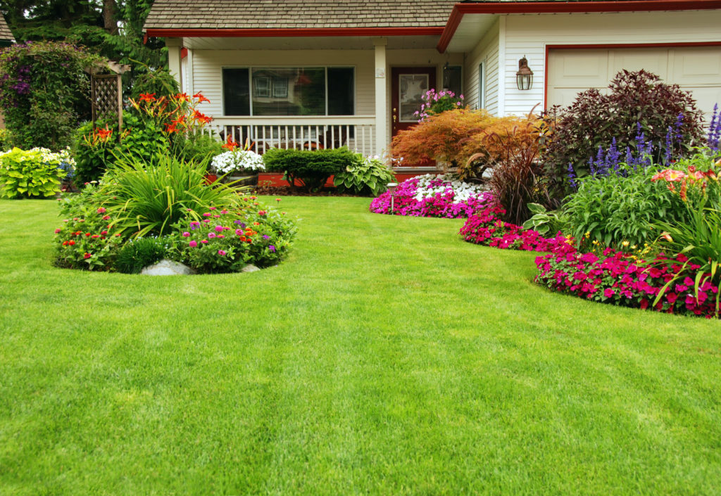 Lawn care through the seasons in Canada