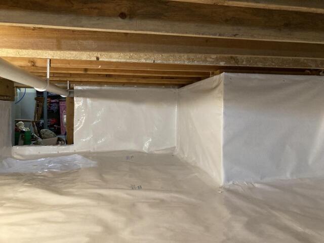 Mould and radon: how to check your home and what to do
